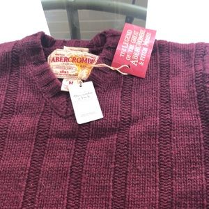 Beautiful Cranberry/ Aubergine Men’s V-Neck Sw